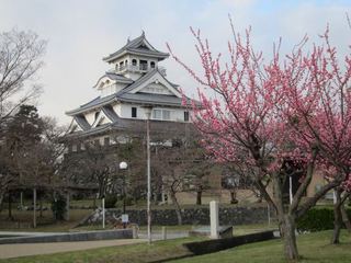 IMG_1177.jpg