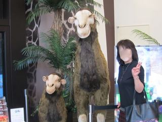 IMG_1492.jpg