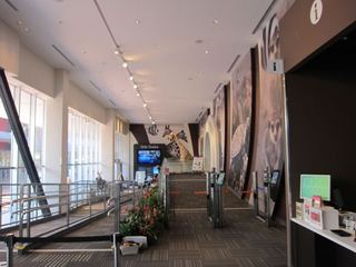 IMG_1493.jpg