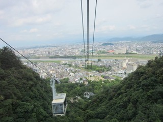 IMG_1658.jpg