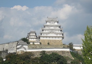 IMG_2135.jpg