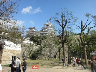 IMG_2145.jpg