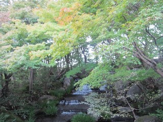 IMG_2182.jpg
