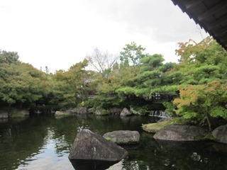 IMG_2185.jpg