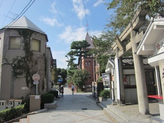 IMG_2275.jpg