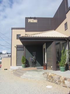 IMG_2393.jpg