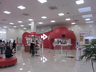 IMG_2768.jpg