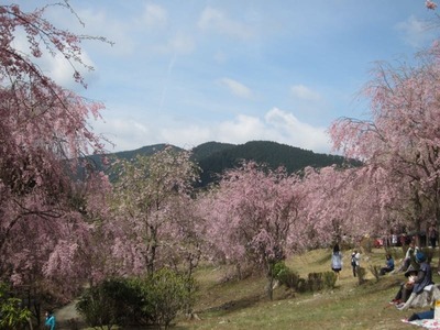 IMG_3638.jpg