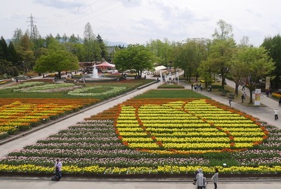 P1010804.jpg
