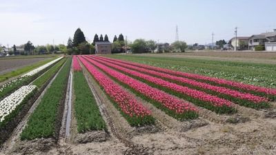 P1010837.jpg