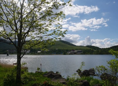 P1020127.jpg