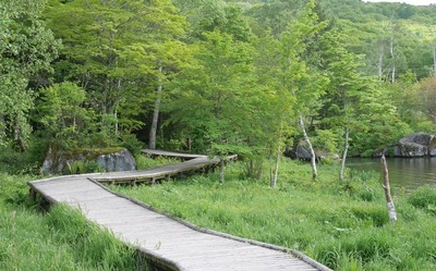 P1020136.jpg