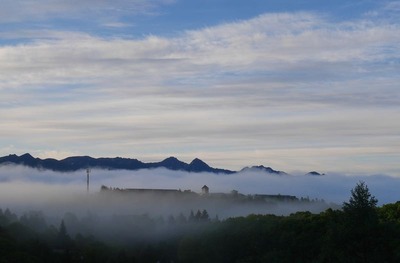 P1020155.jpg