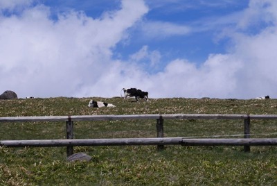 P1020209.jpg