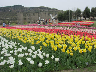 akashikouen2014-3.jpg