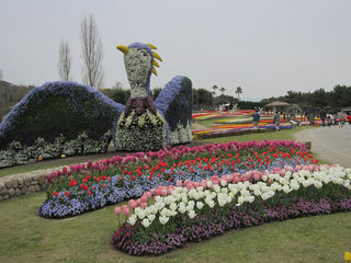 akashikouen2014_5.jpg