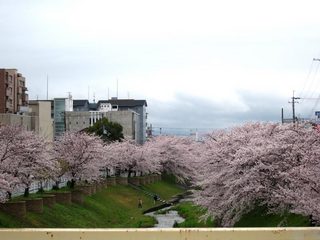 sahogawa.jpg