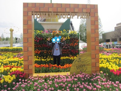 tyurip.jpg